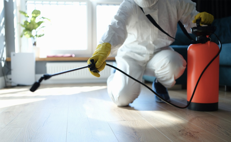 The Environmental Impact of Pest Control